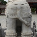 IMG_8164.JPG